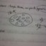 Not a Lotus Root