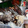 Seafood for Grilling at a Japanese BBQ