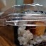 Ehomaki, a rolled sushi traditional at Setsubun