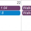 Map My Run Data