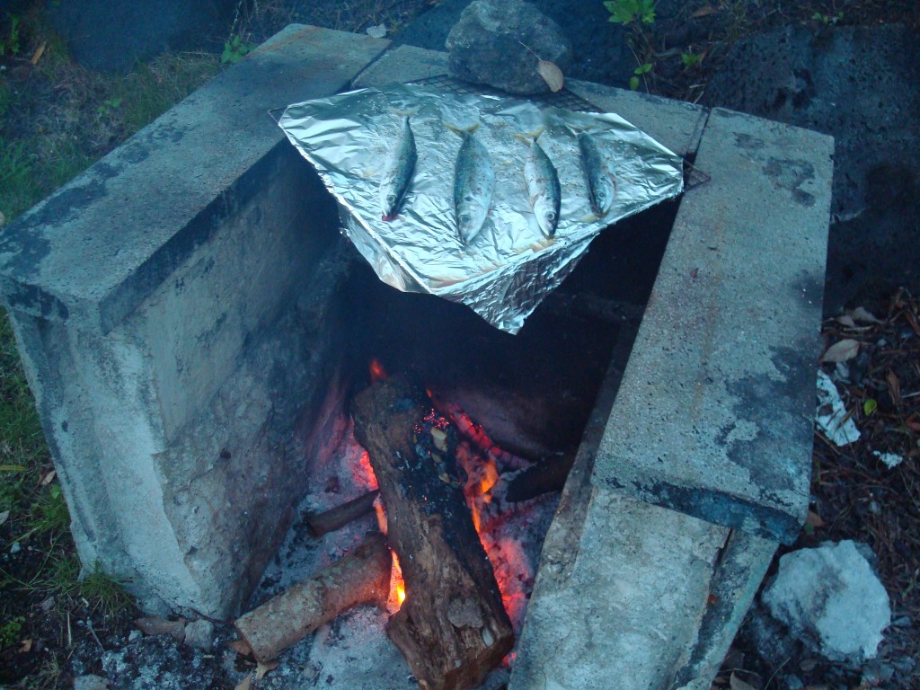 Grilling fish on a campfire, Japan