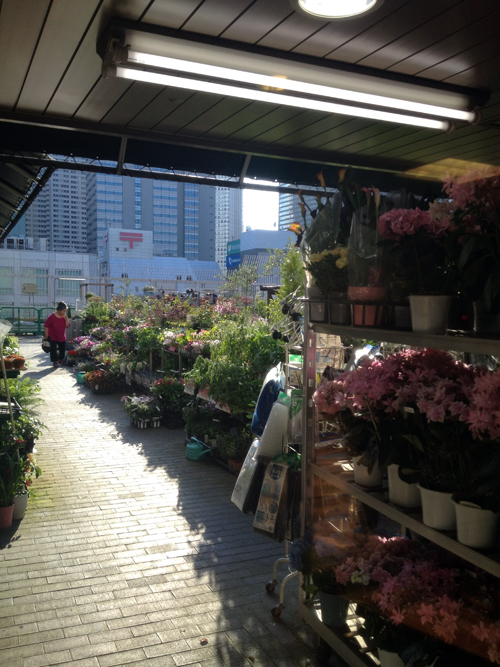 The outside gardening center at Keio department store, Shinjuku, Tokyo