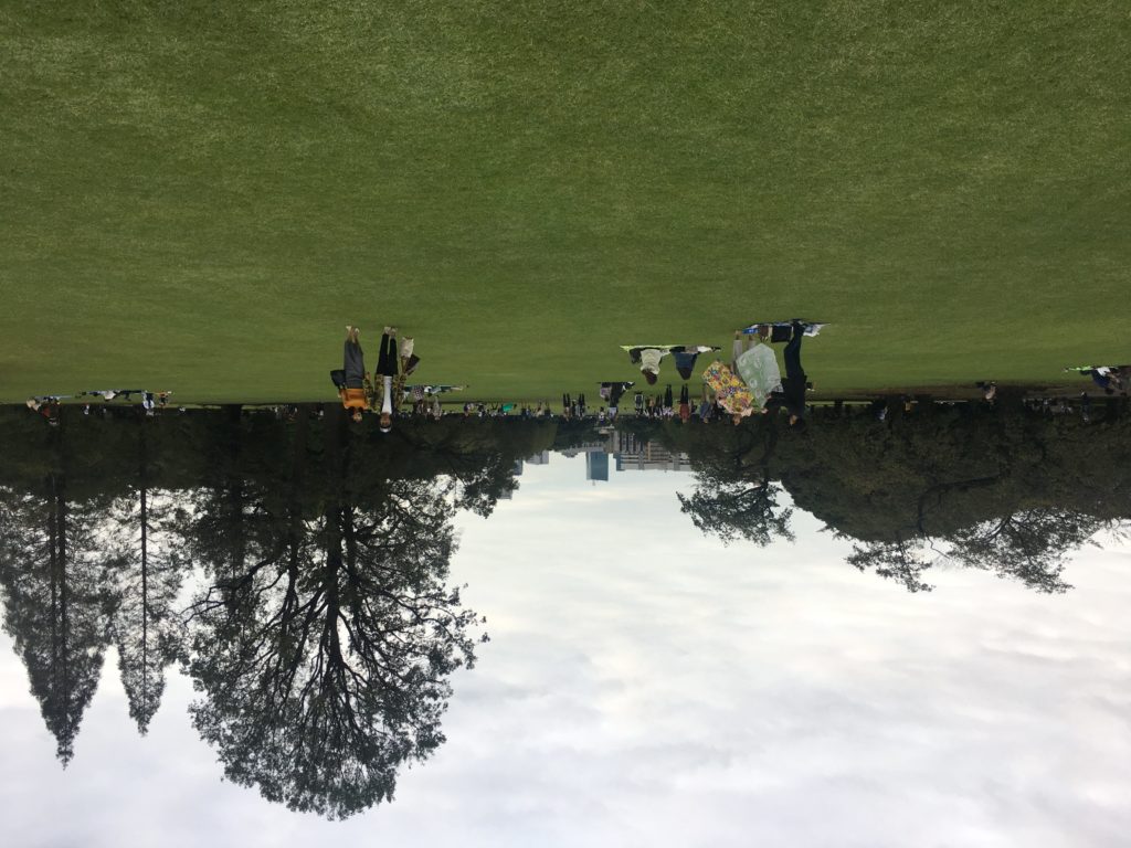 Large grassy area inside Shinjuku Gyoen. iPhone 6S.
