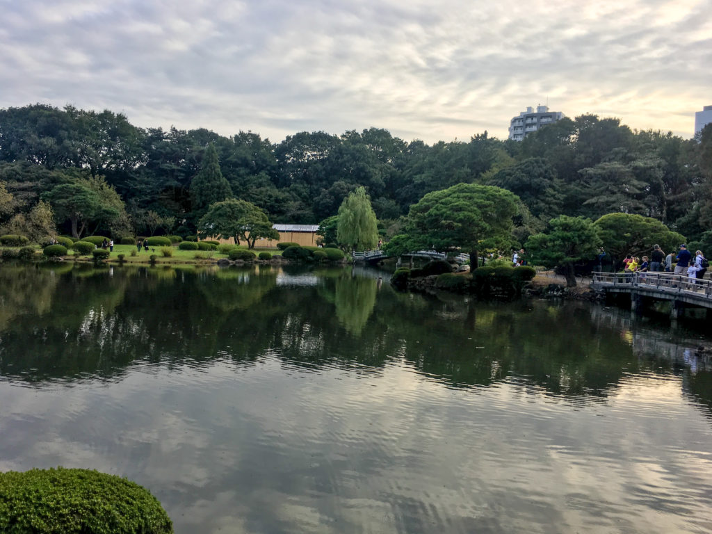 Japanese pond at Shinjuku Gyoen in Tokyo, Japan. iPhone 6S photo.