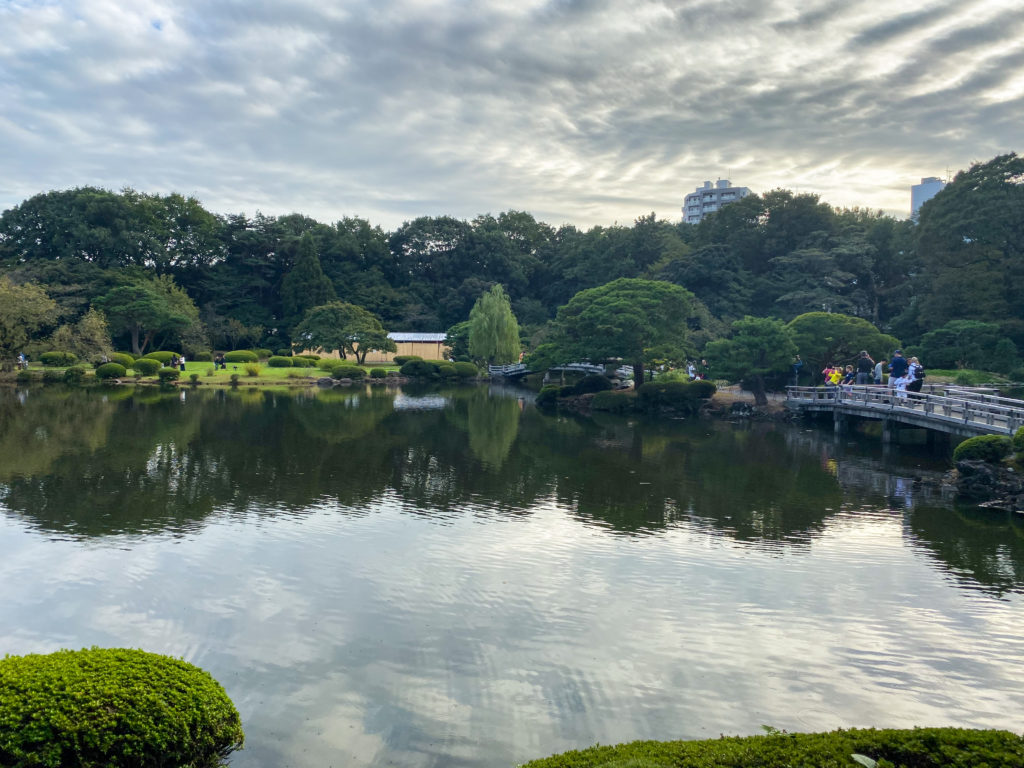 Japanese pond at Shinjuku Gyoen in Tokyo, Japan. iPhone 11 Pro photo.