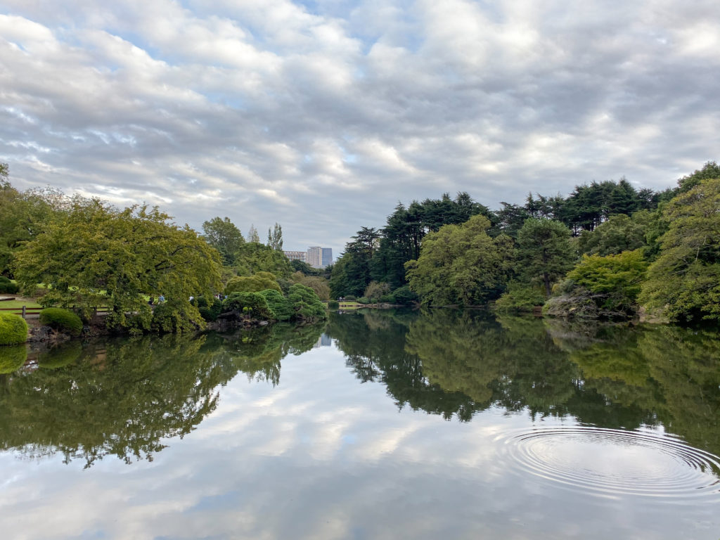 A pond and trees inside Shinjuku Gyoen. iPhone 11 Pro camera.