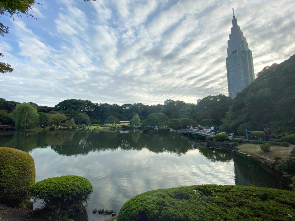 Japanese pond at Shinjuku Gyoen in Tokyo, Japan. iPhone 11 Pro super wide angle lens photo.