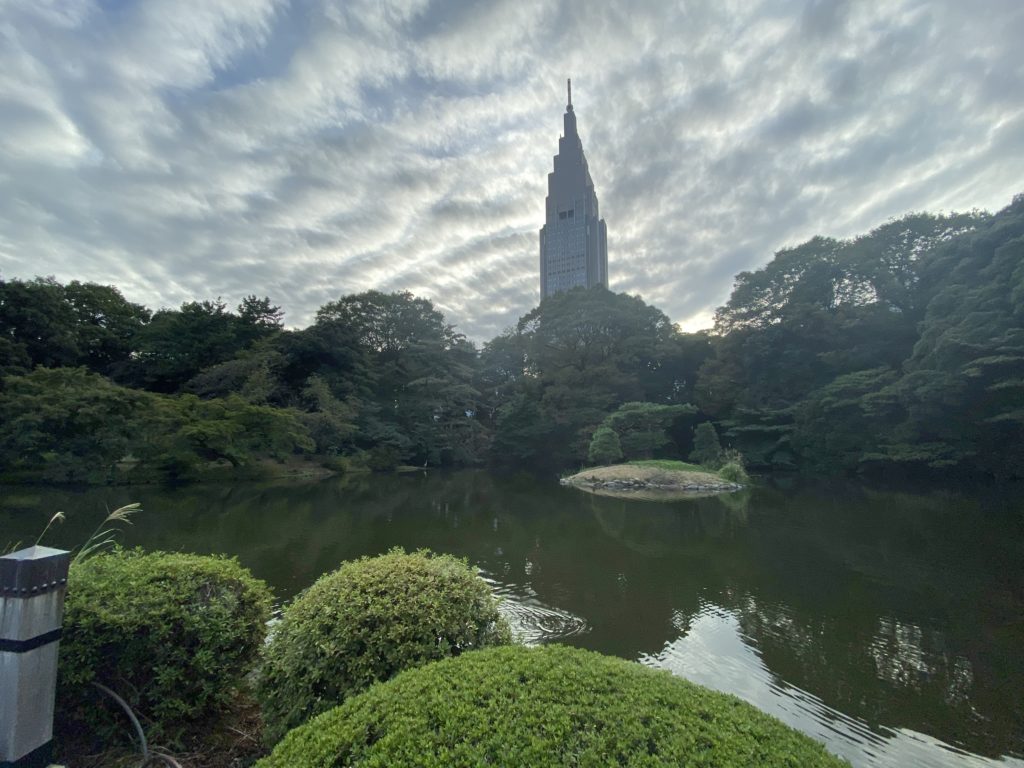 Super wide angle shot of a pond in Shinjuku Gyoen, with a skyscraper looming over the scene.