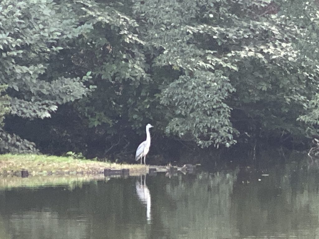 Closeup of a crane at Shinjuku Park.