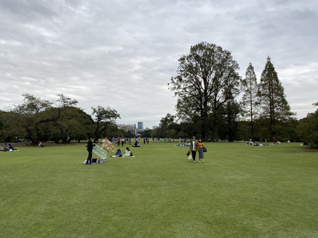 Large grassy area inside Shinjuku Gyoen. iPhone 11 Pro standard lens.