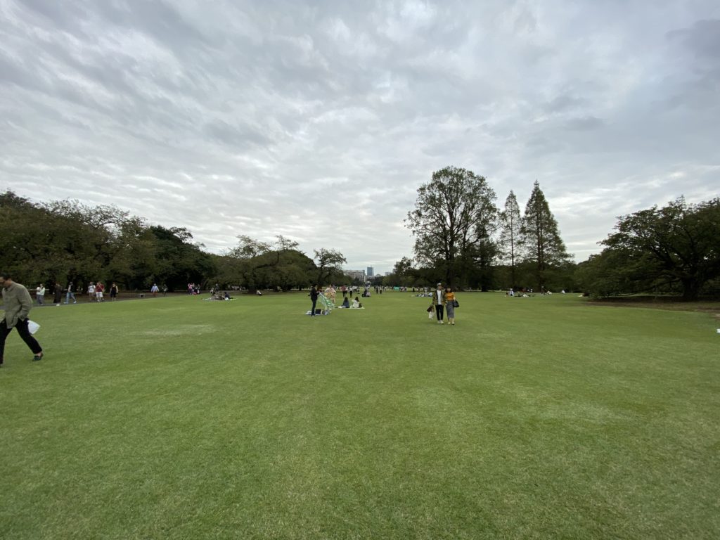 Large grassy area inside Shinjuku Gyoen. iPhone 11 Pro super wide angle lens.